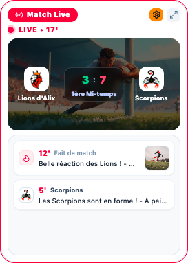 Capture du widget Match Live