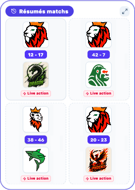 Capture du widget Résumés matchs